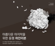 더리본