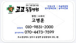고고동물병원