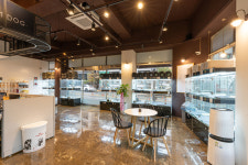 수원강아지분양 헬스독 애견입양 말티푸들포메라니안미니비숑