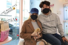 플랜멍 강아지분양 대구본점