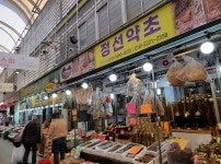 정선약초