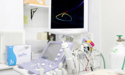 우신종합동물병원