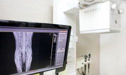 우신종합동물병원