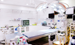 우신종합동물병원