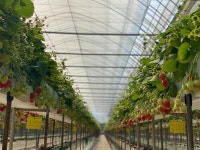 아침이슬농원 2농장