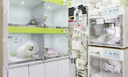 우신종합동물병원