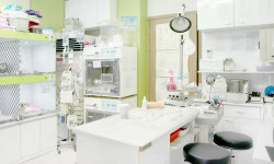 우신종합동물병원