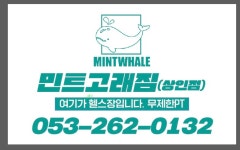 상인동 헬스장 민트고래짐