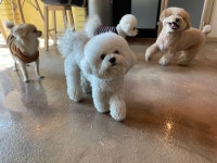 오킨더