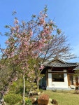 한옥스테이 청정재