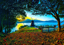 바람의 언덕 도장포 유람선