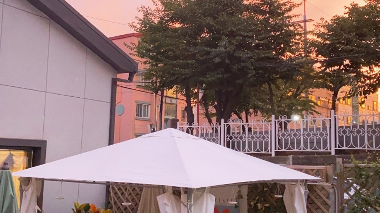 카페메리골드