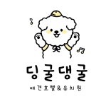 딩굴댕굴 애견호텔유치원
