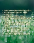 스킨&바디 테라피