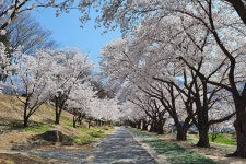 가산수피아