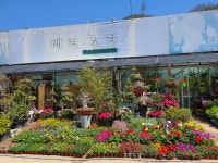 백경조경꽃농원