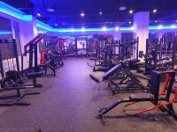 뽀빠이올리브헬스클럽