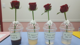 사이언스클럽학원