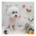 아꼽개