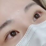 브로우제니아르 양주옥정점