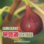 느린농부농장