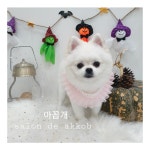 아꼽개