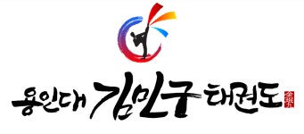 용인대김민구태권도