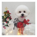 아꼽개