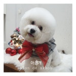 아꼽개
