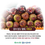 느린농부농장