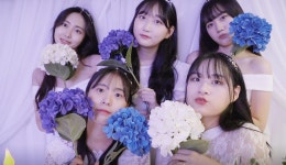 디엠