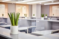 독학재수학원 잇올 스파르타 부산 센텀센터 2관