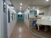 연세대박사 클래식실용 음악학원