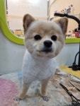 슬로독