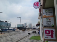 세종시티약국