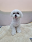 슬로독