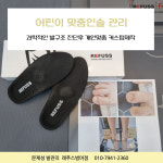레푸스 범어점