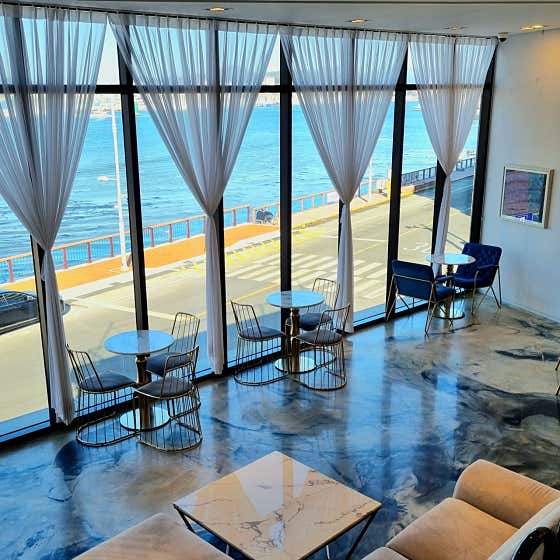 드스텔라 로스터리 사진