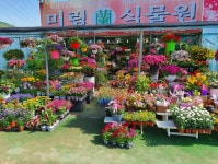 미림식물원
