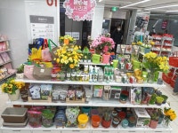 다이소 청량리역점