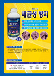 김창민식물병원