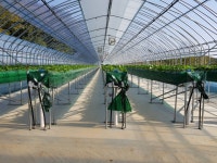 성희네딸기농장