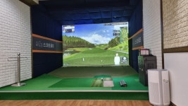 에이스스크린골프