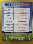에이스스크린골프존