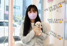 플랜멍 강아지분양 대구본점