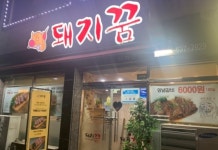 돼지꿈