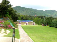 청주약수정