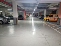 한국체대 호림태권도장