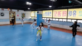 용인대 미르태권도장&스포츠클럽
