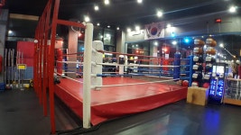 브리드 복싱 GYM